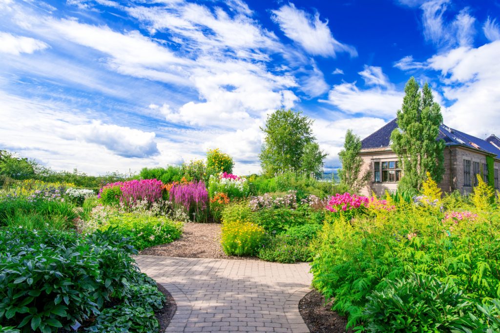 commercial grounds care