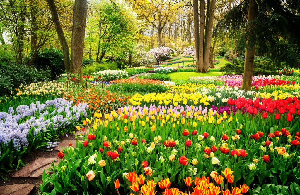 spring maintenance