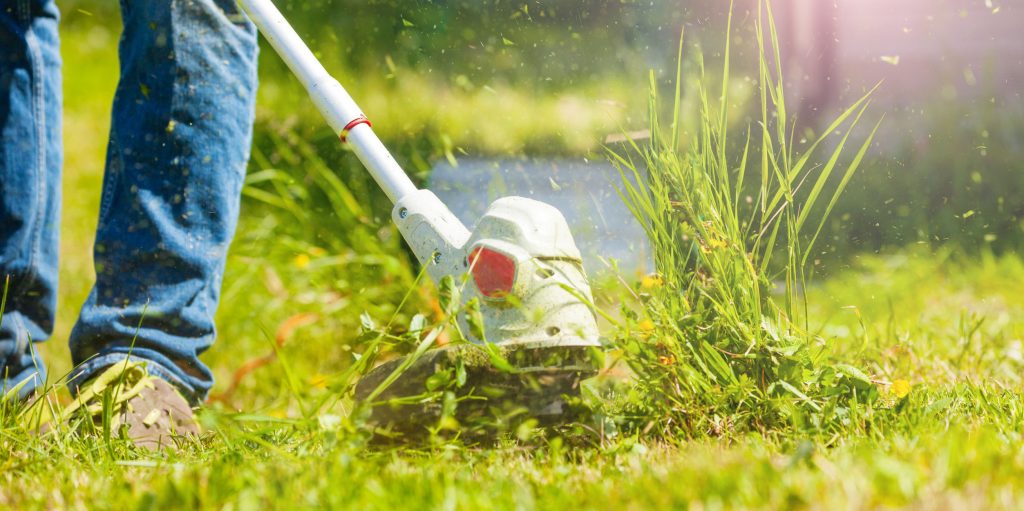 Commercial Landscaping and Maintenance