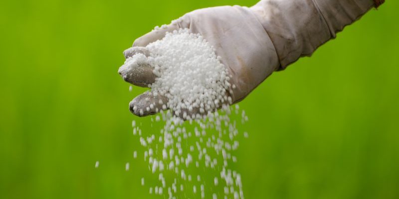 How To Create The Perfect Lawn With Our 4 Step Fertilizer Program