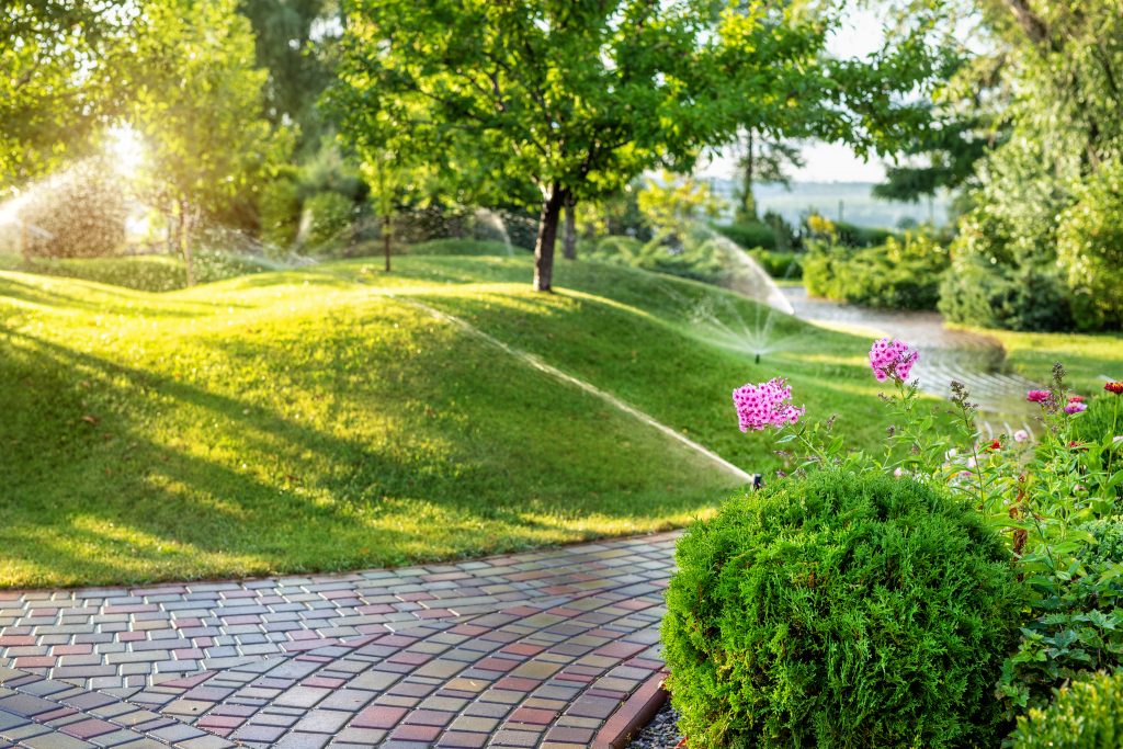 spring sprinkler start up